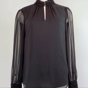 Top with sheer sleeves mock turtleneck